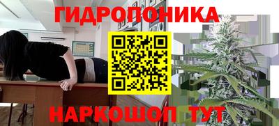 спайс Гай