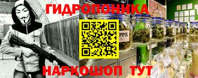 спайс Гай