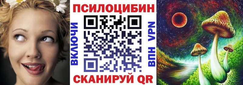 Псилоцибиновые грибы мицелий  продажа наркотиков  Зерноград 