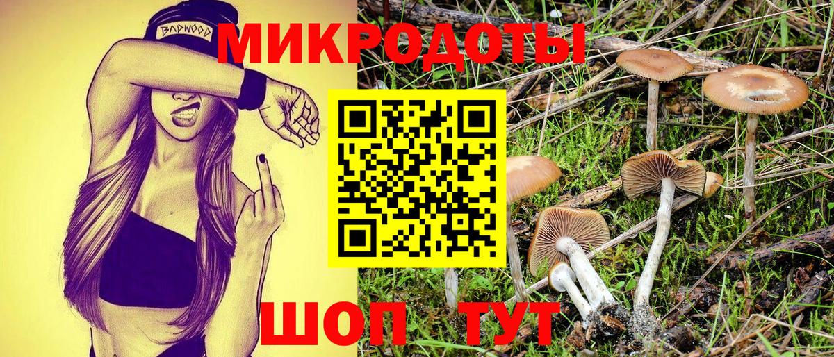 Псилоцибиновые грибы Cubensis Зерноград