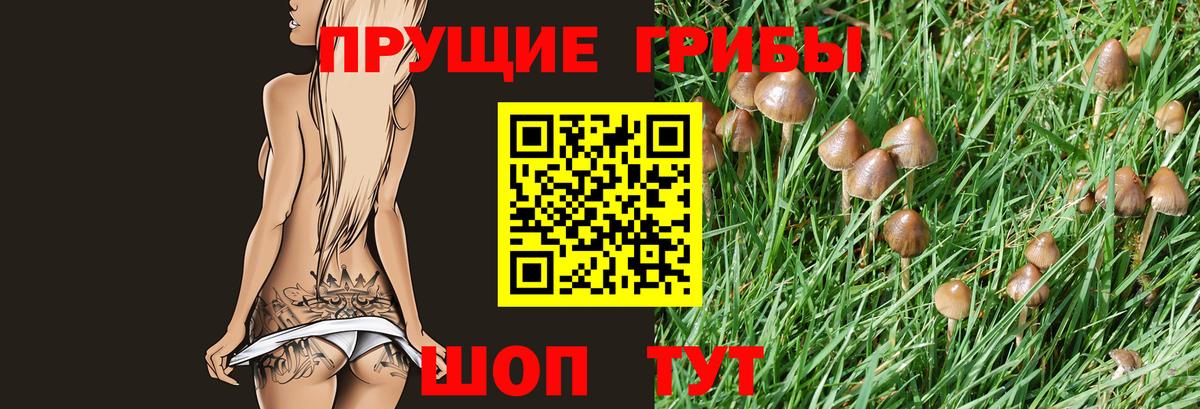 Псилоцибиновые грибы мухоморы  Вход с VPN  Зерноград 