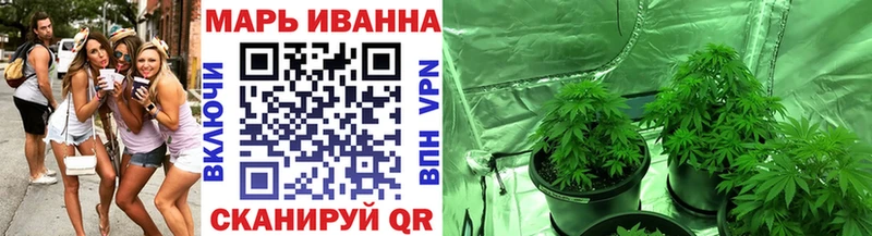 Конопля планчик  MEGA как войти  Зерноград 
